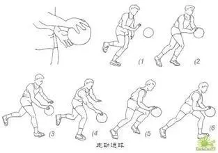 篮球零基础训练30天计划怎么写_1